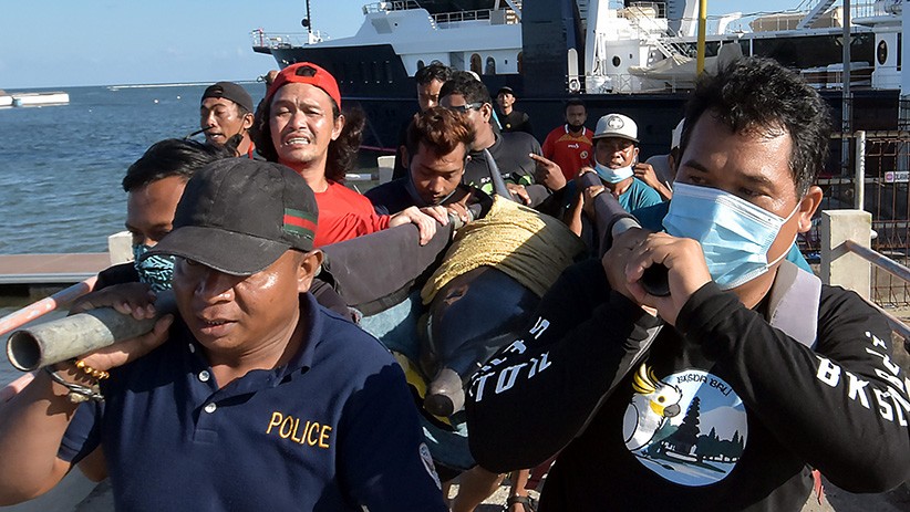 Terlalu, Lucinta Luna Tunggangi Lumba-Lumba Hidung Botol saat Liburan di Bali - Bagian 4