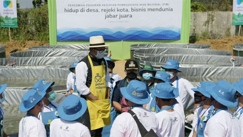 Ridwan Kamil Resmikan Kegiatan Pembudidaya Ikan Milenial - Bagian 2