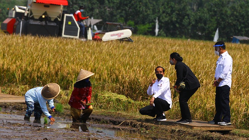 Panen Raya di Malang, Jokowi dan Puan Maharani Berdialog dengan Petani - Bagian 1
