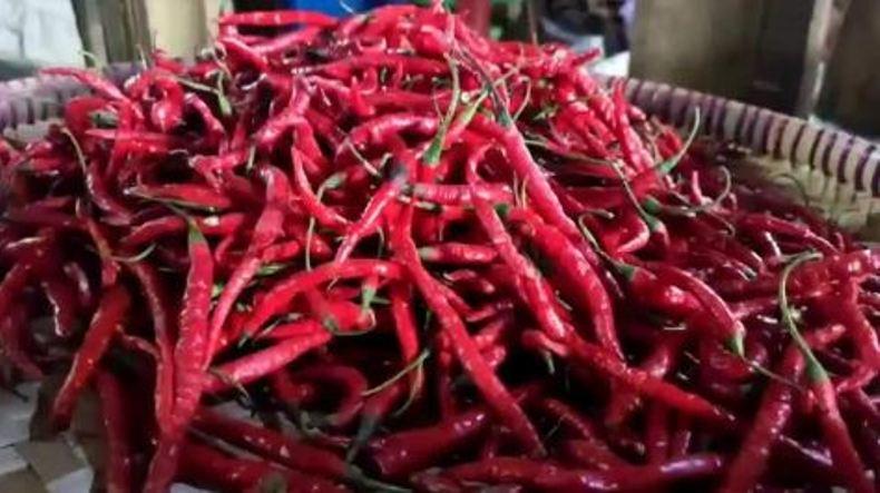 Kabar Baik, Harga Cabai di Kendal Mulai Turun 