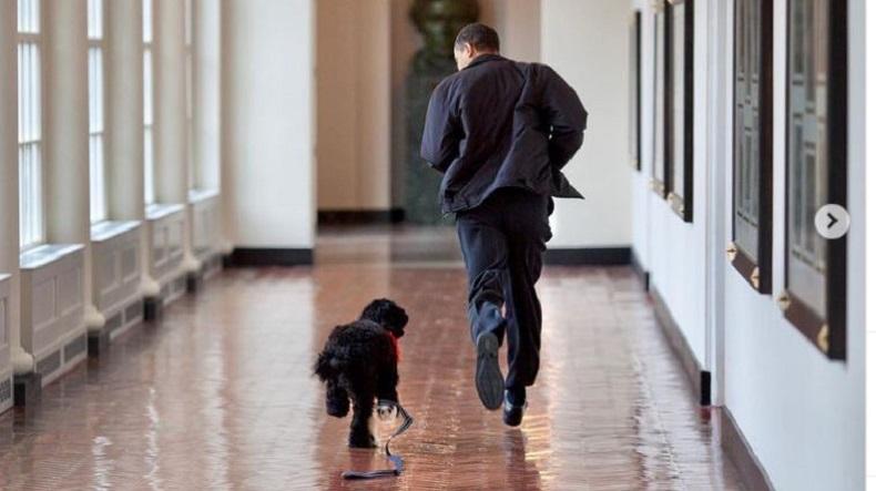 Anjing Peliharaan Mati, Barack Obama Kenang Kebersamaan saat di Gedung Putih