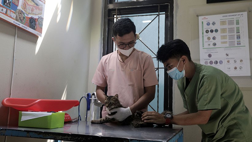 Imbas Larangan Mudik, Penitipan Hewan Peliharaan Turun Drastis - Bagian 4