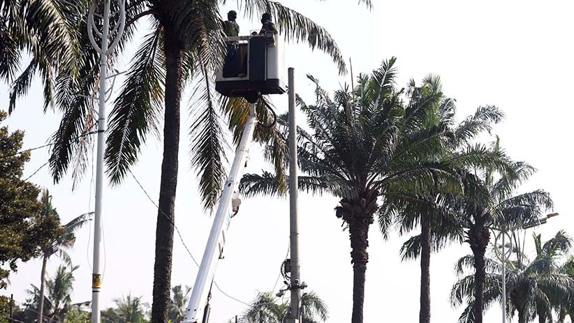 Perawatan Rutin Pohon-Pohon di Jalanan Jakarta - Bagian 2