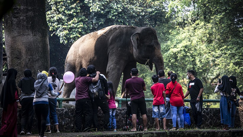 Warga Ber-KTP DKI Jakarta Liburan ke Taman Margasatwa Ragunan - Bagian 1