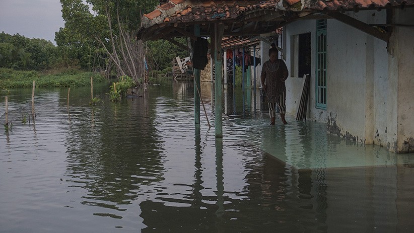 Banjir Rob Rendam Permukiman Warga Pekalongan, Rumah Ditinggal Pemilik - Bagian 2