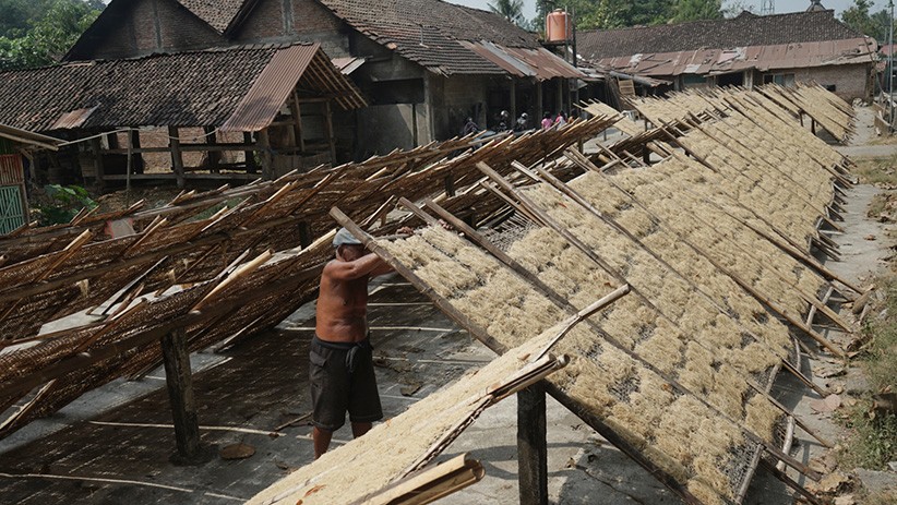 Melihat Proses Pembuatan Mi Lethek Yogyakarta Dibantu Seekor Sapi - Bagian 2