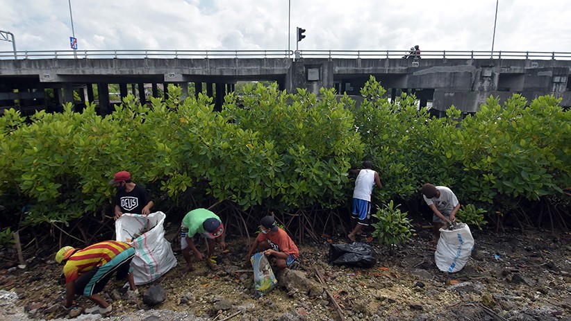 Hari Lingkungan Hidup, Sampah di Kawasan Mangrove Dibersihkan Nelayan Wanasari - Bagian 2