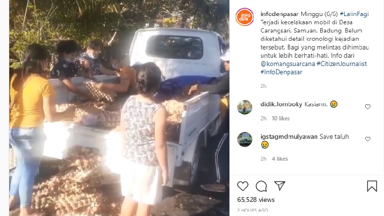 Mobil Pikap Kecelakaan, Jalan Desa Carangsari Badung Dipenuhi Pecahan Telur Ayam