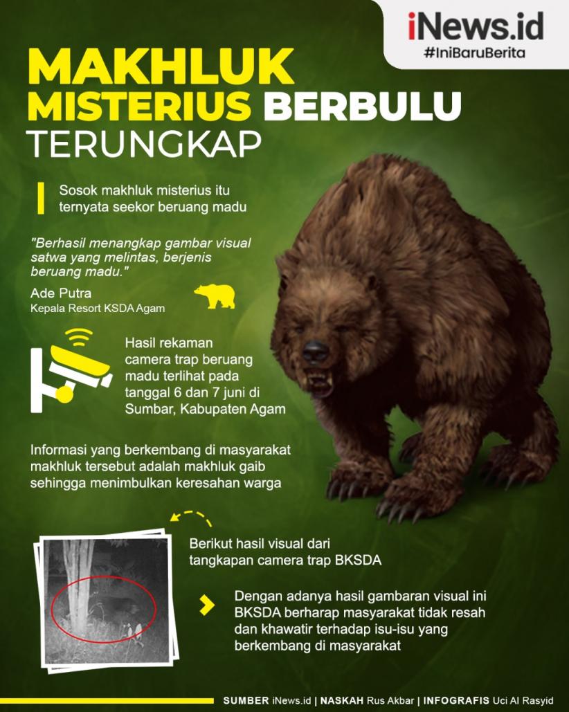 Infografis Makhluk Misterius Berbulu yang Teror Warga Agam