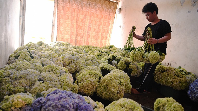 Presiden Jokowi Targetkan 30 Juta Pelaku UMKM Manfaatkan E-Commerce - Bagian 1