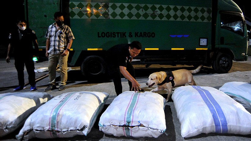 44 Kilogram Ganja Dikirim dari Medan ke Bali - Bagian 1