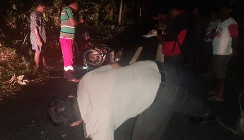 2 Motor Adu Banteng di Talaud, Seorang Pengendara Muntah-Muntah