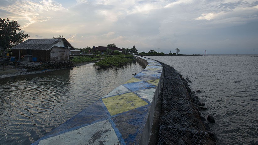 Tanam Pohon Bakau Cegah Abrasi di Ujung Utara Kepulauan Seribu - Bagian 2