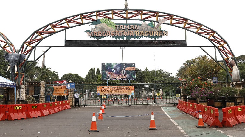 Taman Margasatwa Ragunan Tutup Sementara - Bagian 3