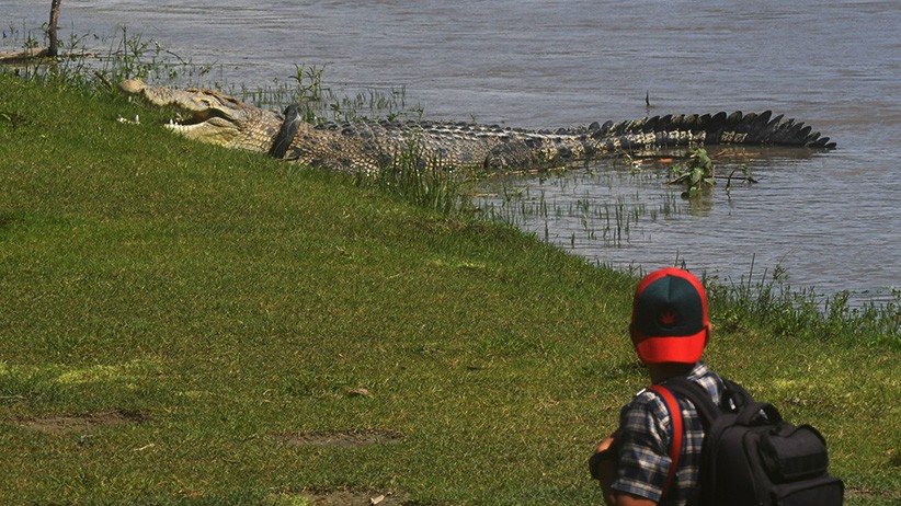 Buaya Berkalung Ban Kembali Muncul, Tubuhnya Semakin Besar - Bagian 3