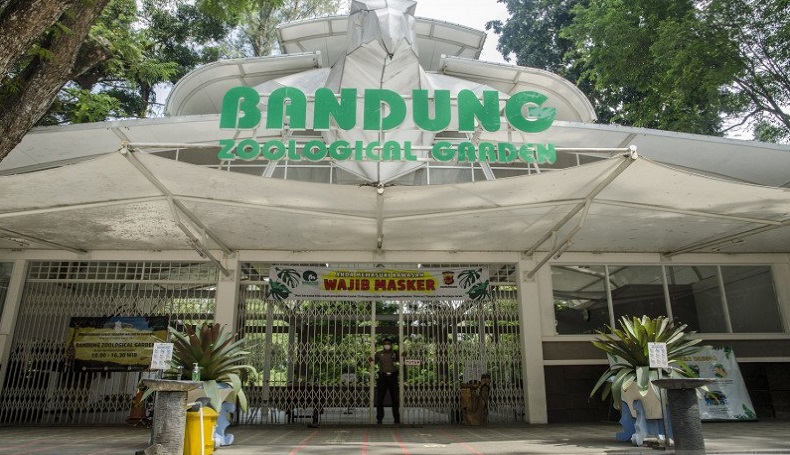 Ditutup 14 Hari, Kebun Binatang Bandung Buka Donasi untuk Pakan Satwa
