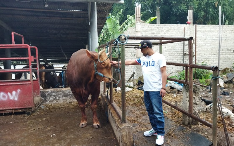Pembatalan Keberangkatan Calhaj Justru Bawa Berkah bagi Pedagang Hewan Kurban