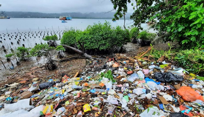 Kawasan Konservasi Mangrove di Ambon Dipenuhi Sampah
