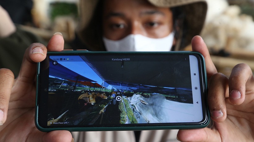 Belanja Hewan Kurban Tanpa Keliling Kandang dengan Teknologi Virtual Reality - Bagian 3