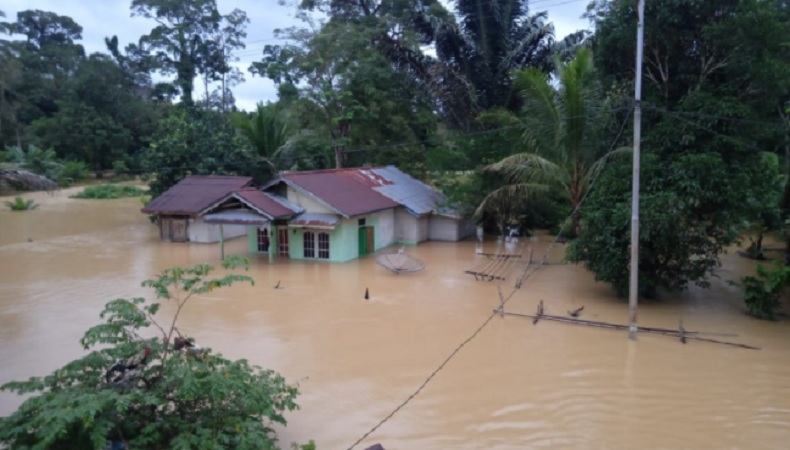 Banjir di Sintang Rendam 26 Desa di 4 Kecamatan, Ketinggian Air Capai 2 Meter  