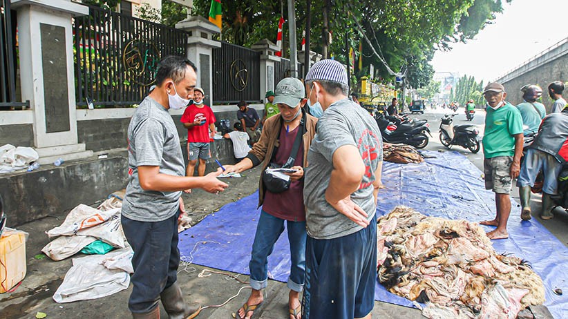 Berkah Idul Adha, Pengepul Borong Kulit Hewan Kurban - Bagian 4
