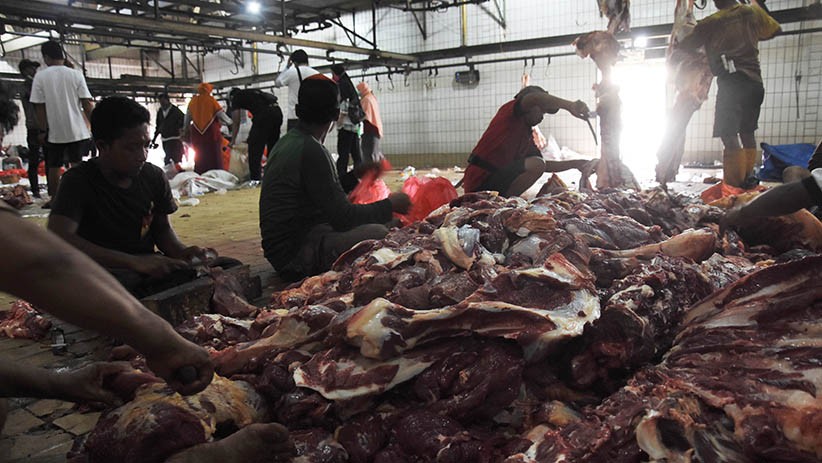 Pemotongan Hewan Kurban di RPH Cakung Meningkat - Bagian 1