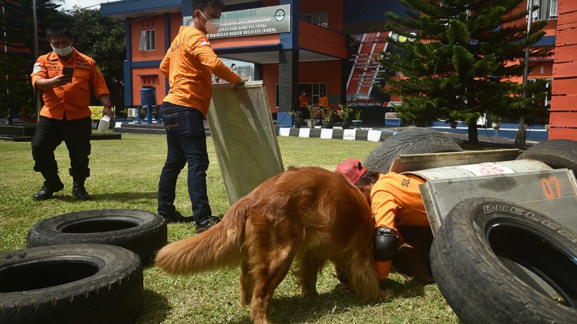 Aksi Anjing Pelacak Mencari Korban Bencana Alam - Bagian 2
