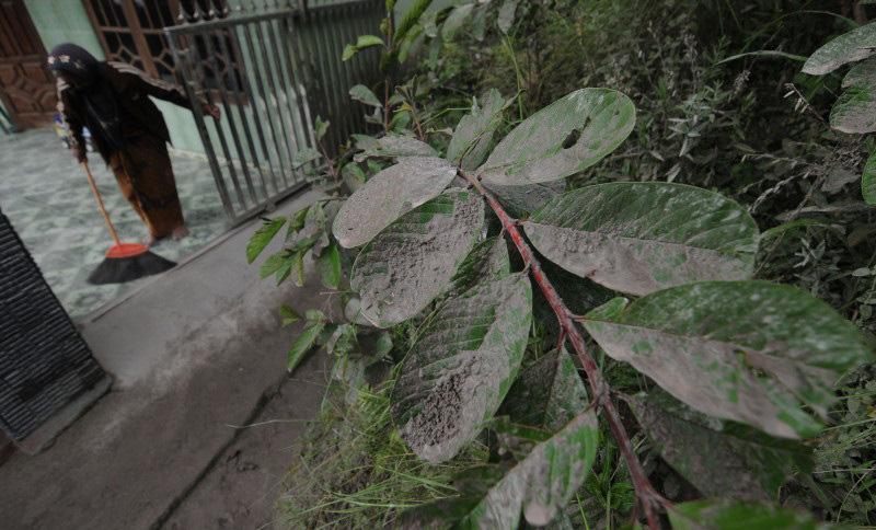 Hujan Abu Muntahan Awan Panas Guguran Merapi Guyur Sejumlah Desa di Magelang