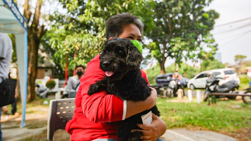 Vaksin Rabies Gratis untuk Hewan Peliharaan di Jakarta Selatan - Bagian 4