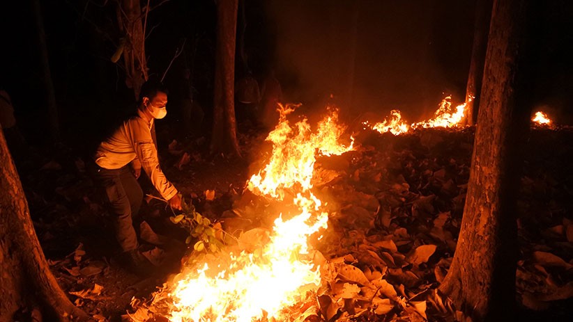 Puluhan Hektare Hutan Lindung di Situbondo Terbakar Gegara Ulah Pencari Burung - Bagian 1