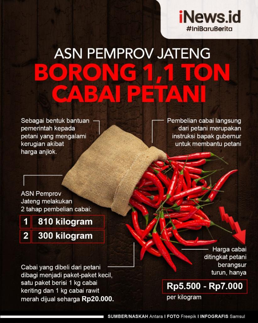 Infografis ASN Pemprov Jateng Borong 1,1 Ton Cabai Petani