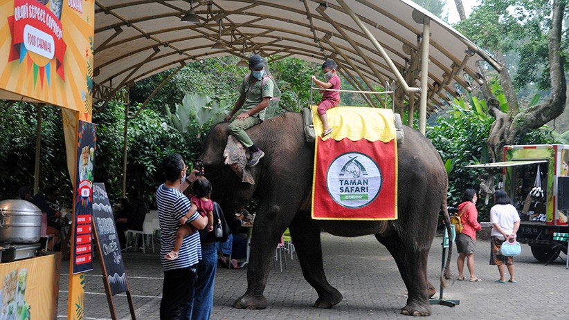Taman Safari Indonesia Kembali Dibuka untuk Wisatawan - Bagian 3
