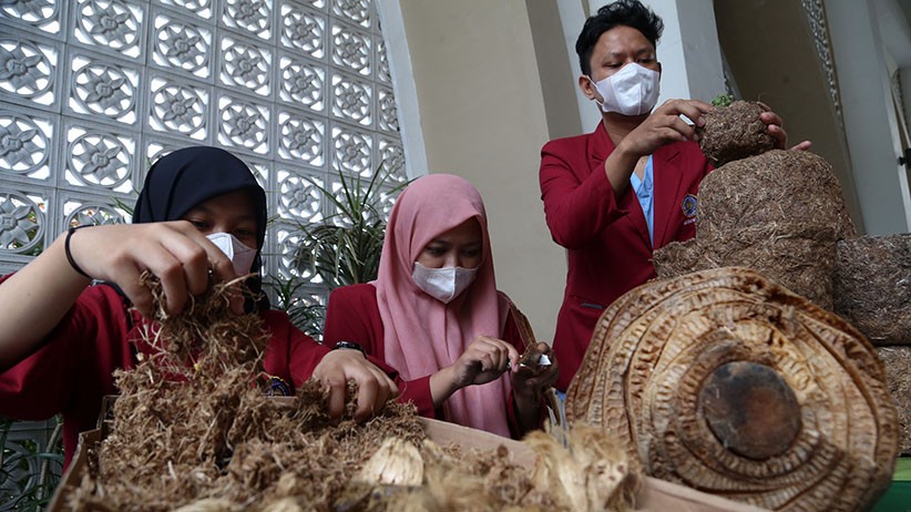 Membuat Pot Bunga Cantik Berbahan Limbah Pelepah Pisang - Bagian 3