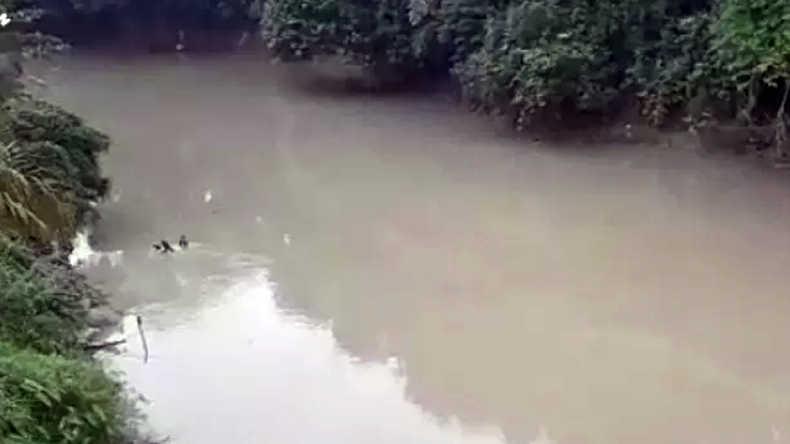 Tercemar Limbah Pabrik, Air Sungai Batang Siat Jadi Hitam
