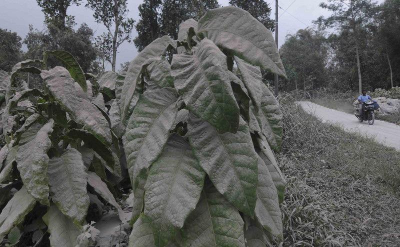 Hujan Abu Merapi Kembali Guyur 5 Kecamatan di Kabupaten Magelang