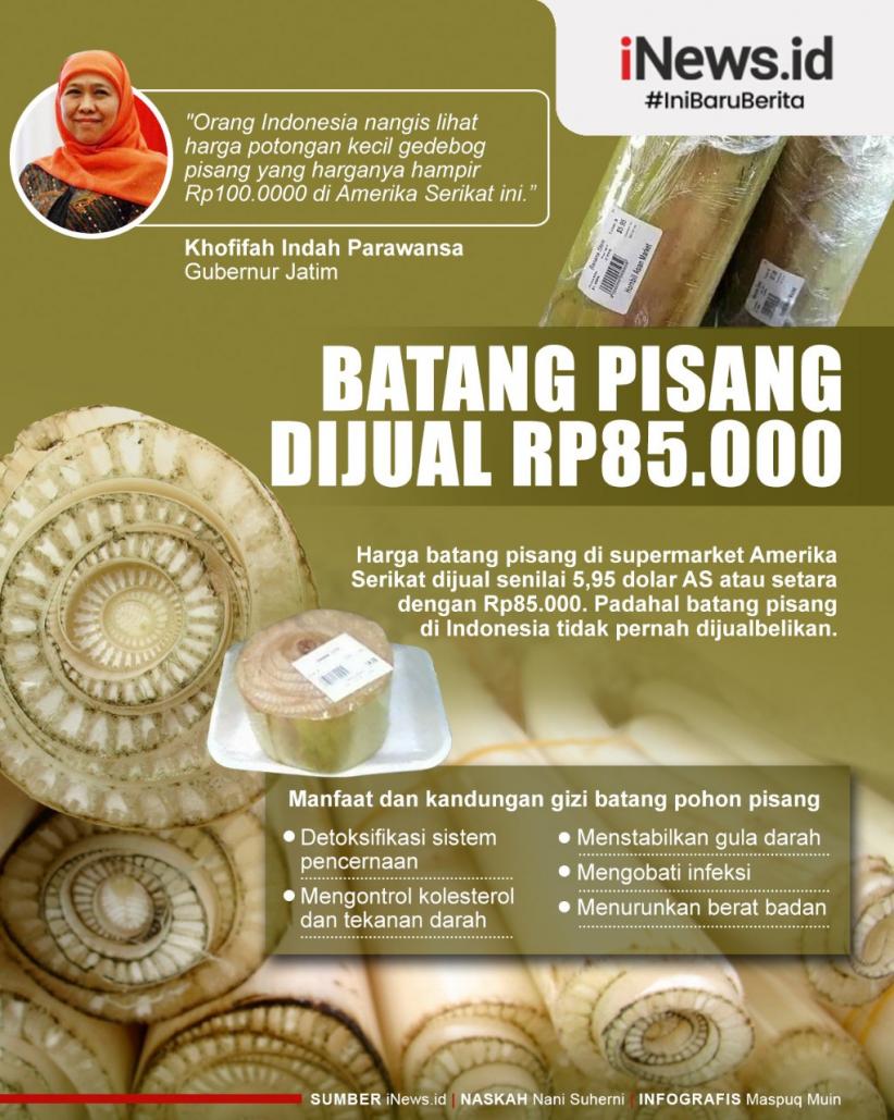 Infografis Batang Pisang Dijual Rp85.000