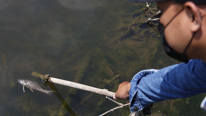 Sungai Bengawan Solo Tercemar Limbah Alkohol - Bagian 1
