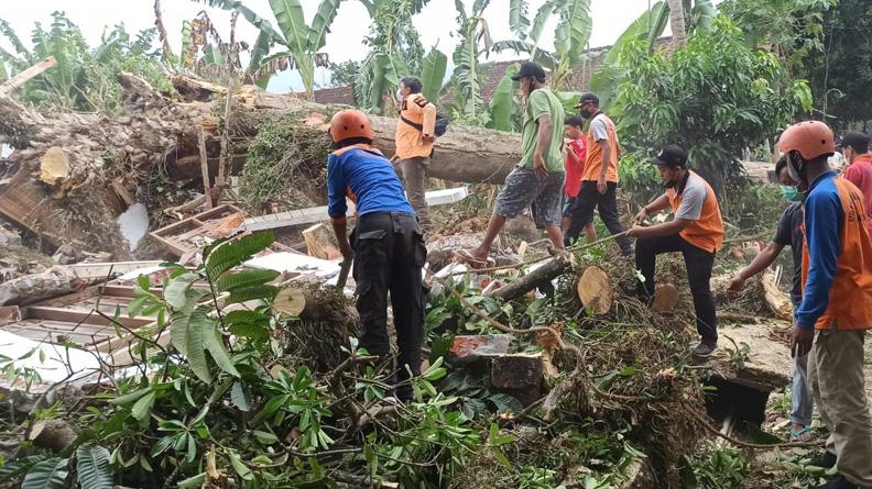 Pohon Besar Tumbang Timpa Bangunan Madrasah dan Rumah di Blora, 3 Warga Luka