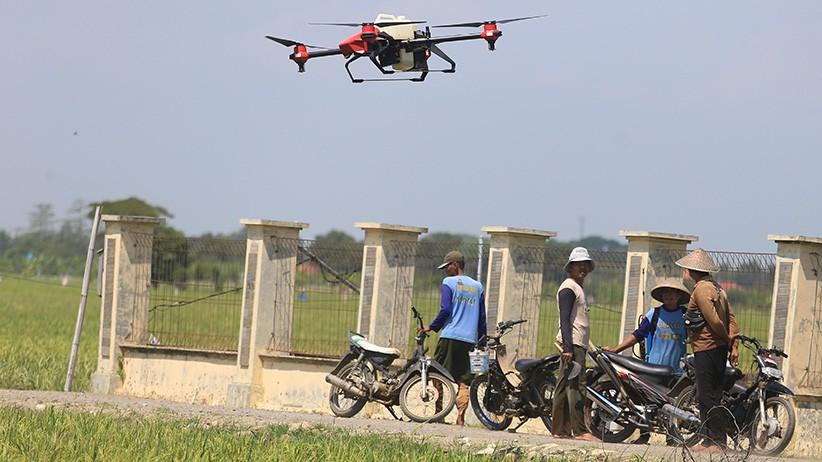 Petani Kerahkan Drone Semprot Cairan Pestisida - Bagian 3
