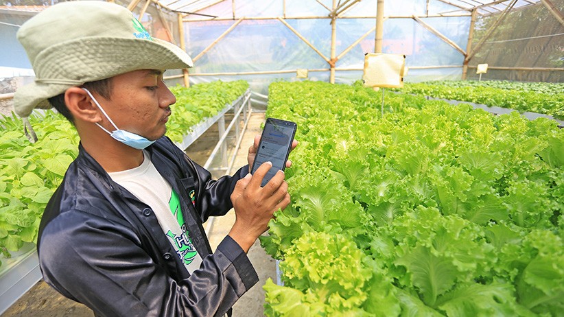 Petani Milenial Manfaatkan Teknologi dari Penanaman hingga Pemasaran - Bagian 3