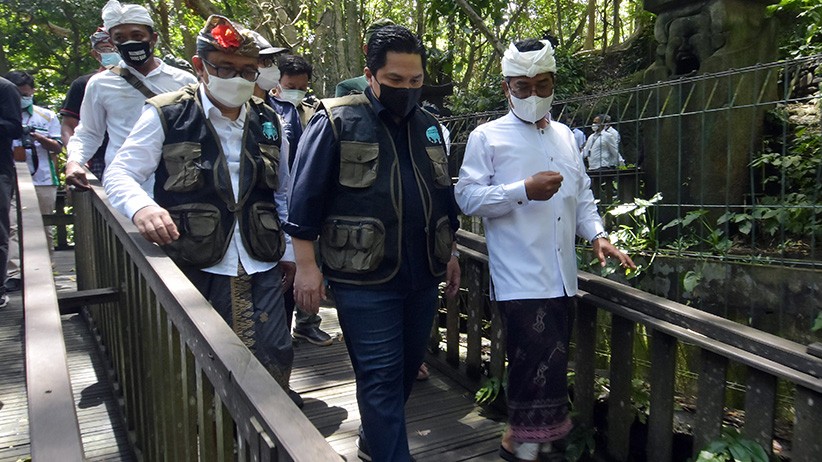 Erick Thohir Berikan Bantuan Pakan untuk 1.200 Kera Penghuni Monkey Forest - Bagian 3