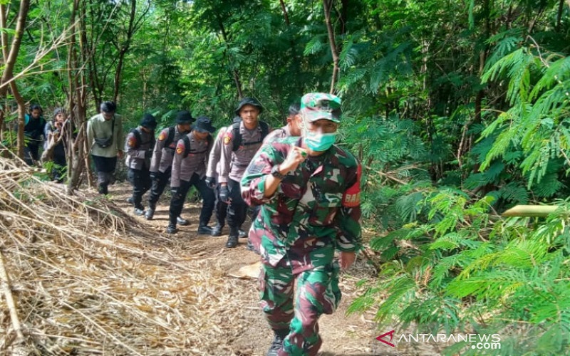 Pendaki Hilang di Gunung Guntur Garut, Tim SAR Sisir Lembah di Hari Ketiga Pencarian