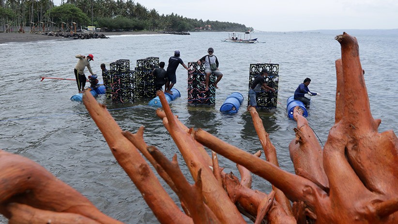 40 Apartemen Ikan Ditenggelamkan di Perairan Banyuwangi - Bagian 2