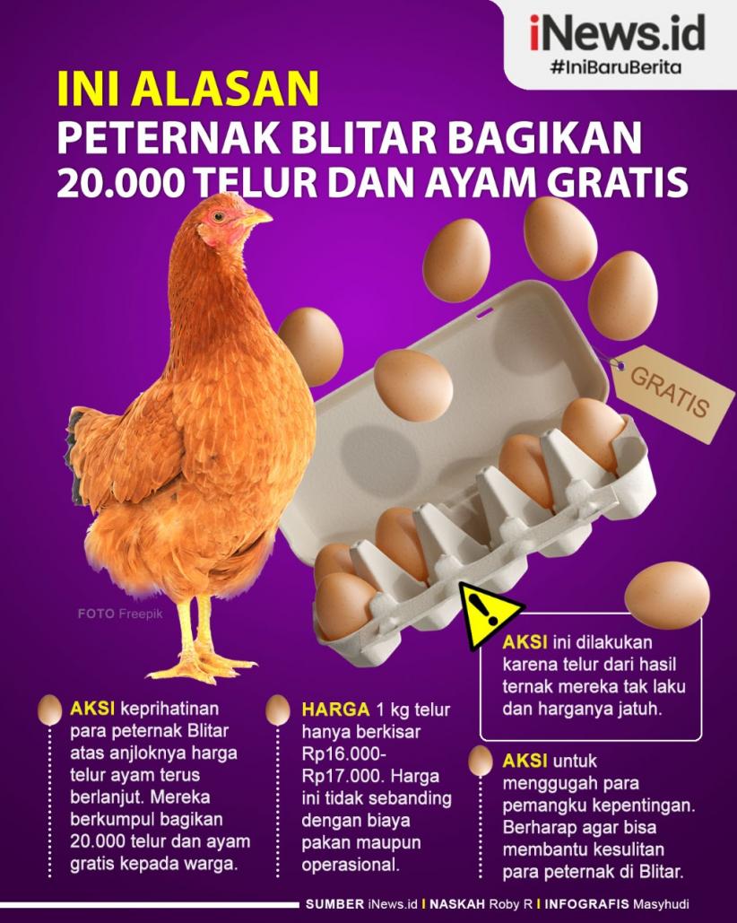 Infografis Peternak Blitar Bagikan 20.000 Telur dan Ayam Gratis