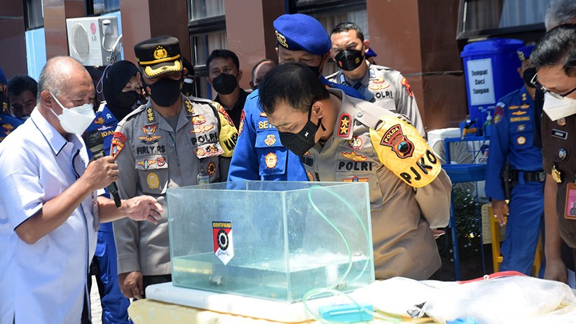 Ditpolairud Polda Jateng Gagalkan Penjualan Ribuan Benih Lobster Ilegal - Bagian 2