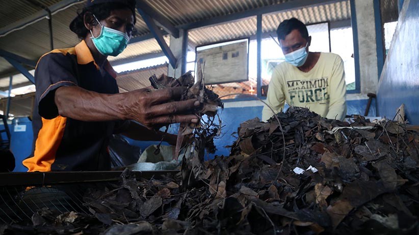 Begini Proses Pengolahan Daun Kering Menjadi Pupuk Organik - Bagian 2