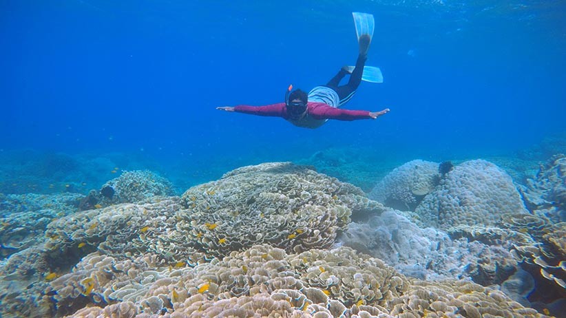 Snorkeling di Pantai Watudodol, Menikmati Pesona Bawah Laut Selat Bali - Bagian 2