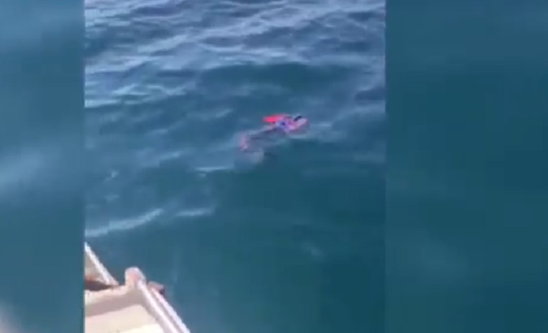 Warga Baubau Geger, Mayat Bocah Berseragam Sekolah Ditemukan Mengapung di Laut