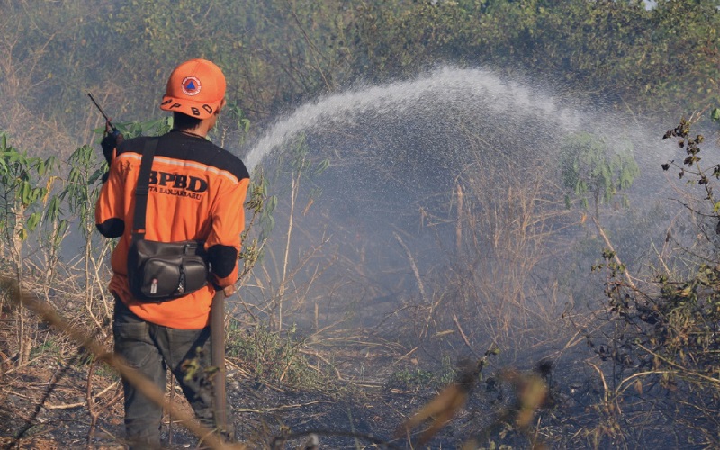Karhutla Kalsel Menurun, BPBD: Bantuan Helikopter Cepat Merespons