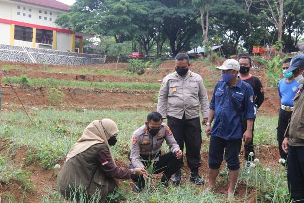 Polisi Diajak Belajar Bareng Tanam Bawang Merah Varietas  Unggul di SPN Selopamioro